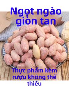 Đậu Phộng Rang Năm Vị 5kg