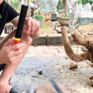 Dũa mài lưỡi cưa dũa mài cưa gỗ cầm tay cán nhựa dẹt 6 inch 8 icnh