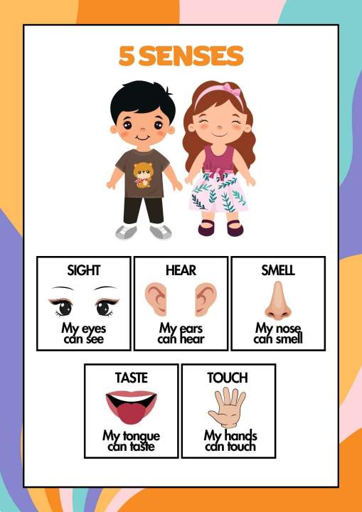 Part of the Body Educational Chart | Lazada PH