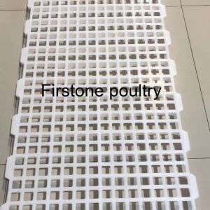slat alas kandang domba ayam kambing original