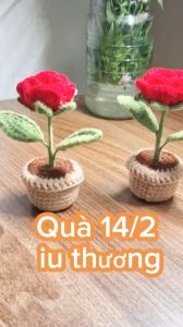Chậu hoa len handmade làm quà tặng decor bàn học bàn làm việc