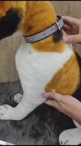 Tali Kalung Hewan Motif Tulang Choker Anjing Kucing Pet Collar Dog Cat Necklace