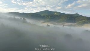 Quạt Đứng Để Bàn 2in1 Đối Lưu Luồng Gió Siêu Mát Không Dây pin lithium 5 chế độ gió hẹn giờ BREEZE CARESSES FAN - PKTL