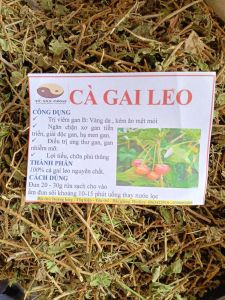 Cag gai leo cho người men gan sơ gan gan nhiễm mỡ hàng khô sạch