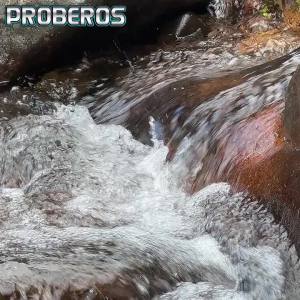 PROBEROS Kim Loại Jig Mồi Câu Cá 7-30g Móc Đôi Mồi Cứng Trolling Bass Cá Hồi Jigging Nước Mặn Giải Quyết Cho Đại Dương Sông Hồ