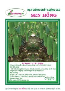 Hạt giống bí đao sh64 sen hồng gói 2gam 100 hạt.