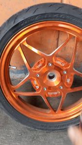 Paint Remover Teje Perontok Cat Kendaraan