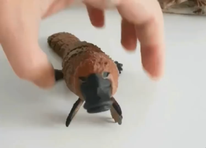 Mainan Platipus Artikulasi Plastik Ramah Lingkungan Edukasi & Koleksi Anak