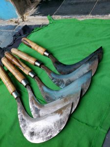 Sabit arit cap 88 asgar gagang kayu senokeling siap pakai (super tajam)