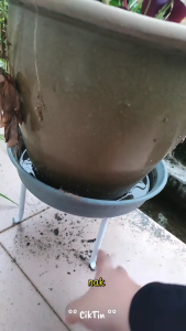 Rak Pasu Bunga / Rak Simpanan Taman Rak Besi untuk Pasu Bunga Rak Pameran Pokok / Alas Kaki Pasu Bunga Flower Pot