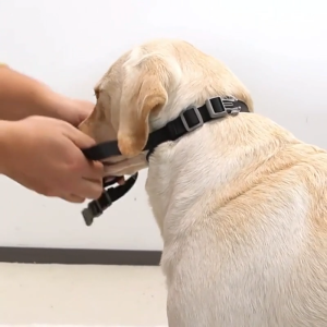 Rọ mõm Chó Fubao có vòng cổ bằng thun co giãn (mẫu mới) - Love Pets Shop
