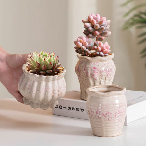 MONLEYTA | Outdoor Ceramic Flower Pot For Small Plants Potted Plants Balcony Courtyard With Tray Thick Glaze Succulent Planters Home Decor