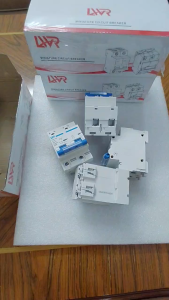 Cầu dao điện Ac 2P 100A 10KA LWR CB AC 2P 100A 220v