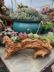 จิวเวลรี่ตกแต่งสวนแบบเรียบง่ายและสร้างสรรค์สำหรับโต๊ะทำงาน ช่อดอกไม้พลาสติก รูปต้นไม้จำลอง วัสดุพลาสติก