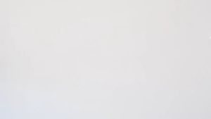 [FASHIONADEK] BAJU KAOS ANAK LAKI-LAKI LENGAN PENDEK GAMBAR BERUANG WARNA HITAM DAN PUTIH