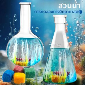 DIY Water Magic Mini Growth Stones ของเล่นวิทยาศาสตร์ คริสต์มาส/ฮาโลวีน/วันขอบคุณพระเจ้า/อีสเตอร์/ปีใหม่ของขวัญ