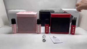 Loa karaoke bluetooth YS203 Hỗ trợ kết nối bluetooth USB AUX TF tặng kèm 2 micro