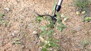 Manual Weed Remover Long Handle Weed Puller Tool Deep Root Weed Extractor No Bending Garden Tool for Lawn Yard Grass