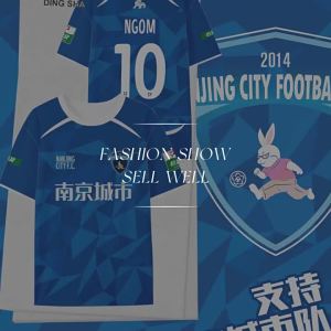 DINGSHA | Quick Drying Short Sleeve Player Edition Football Shirt