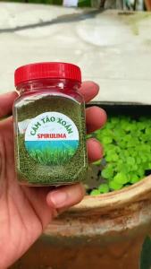 Cám Tảo Xoắn Spirulina 50g(Luôn Hũ)Tiêu Hóa Tăng Màu Cho Cá Cảnh 7 Màu Betta Guppy Cá Thủy Sinh