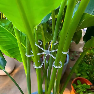 4PCS Reusable Plant Stem Folding Frame Garden Tools No Stake Trellis Plant Stem Support Support Branches Stem Organizer