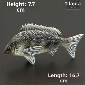 MENGSILE | Educational Realistic Childrens Fish Model