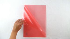 Map L Eagle Files Transparan dan Solid Map Plastik Bening Warna Clear Sleeves Dokumen F4/A4 12 Pcs/Pack