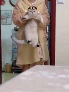 MADDIE สัตว์เลี้ยงน่ารักคาดศีรษะแมวและสุนัขทำด้วยผ้าขนสัตว์หมวกถักคอสเพลย์ตลกข้ามแต่งตัว HHMPS01320