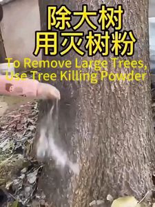 500g Powerful Grass Killer Chemical: Glyphosate Herbicide