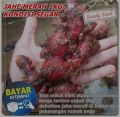 Jahe merah segar 1kg jahe merah fress. 