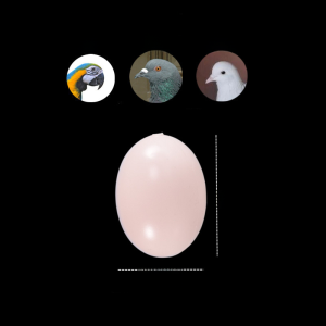 Parrot Fake Egg Bird Parrot Artificial Solid Egg Finch Leather Peony Xuanfeng Bird Eggs Egg Bird Supplies Jade Bird Eggs