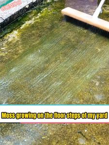 【3-in-1】Stainless Steel Wire Floor Scrub Brush with Handle Floor Cleaning Brush Scrub Brushes Long Handle Household Cleaning Brush Stiff Bristle Brush for Garage Patio Garden Moss Bathroom Kitchen Window Bathroom Floor Brush