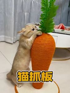 【READY-STOCK】Large Size Carrot Cat Scratcher Board Cat Scratching Board XXL Mainan Kucing Tempat Cakar Kucing 大型胡萝卜猫抓板