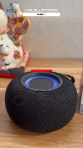 ( Flash Sale 50% ) Loa Bluetooth P Pro 1 - Nhỏ Gọn Bền Bỉ Công Suất 10W và Kháng Nước IP67 Cho Âm Thanh Tuyệt Vời - Bảo Hành Lỗi 1 Đổi 1