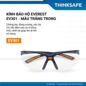 Kính bảo hộ EV302 màu đen chống chói chống bụi chống tia UV chống mờ sương dùng đi đường Kính chống bụi - THINKSAFE