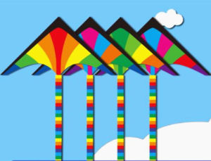 Adults kites flying toys professional kites factory cometas de viento gel blaster kite flying deportes-y-ocio pipa voadora fun