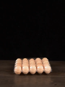 Local Warehouse 12 slots EGG TRAY CLEAR PACK EGG STORAGE 12 EGG PLASTIC CONTAINER (100 pcs per bundl