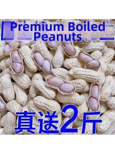 Garlic Flavored Five Spice Salty Peanuts