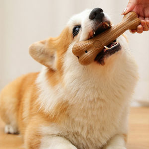 Mainan Anjing Gigit Antler Molar Tulang Gigitan Anjing Wooden Long Lasting Natural Chewing Stick