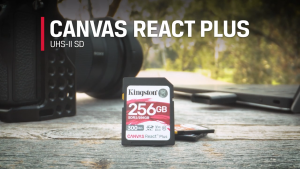 Kingston Canvas React Plus SD 300MB/s Class 10 UHS-II Memory Card ( 32GB / 64GB / 128GB / 256GB )