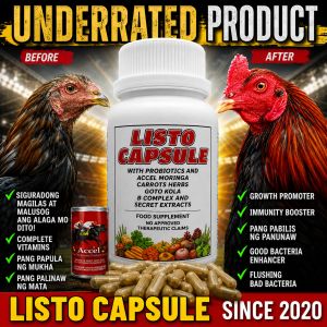 Listo Capsule 100capsule Vitamins with Probiotics and Prebiotics Flushing For Gamefowl Manok Rooster