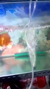 MVPGO | AERATOR AQUARIUM MINI USB