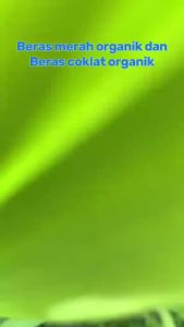 SIRTANIO Beras COKELAT Organik 1kg (Brown Rice /Beras Pecah Kulit) -Beras Sehat untuk MPASI / Diabetes / Diet Rendah Gula Kalori