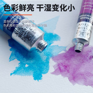 Winsha Newton Song Watercolor Pigment Tube Pack 8ml21ml Solid Single Tubular Transparent Watercolor 12/24 Color Brother Art Beginner Students Nature Sketch Professional Painting Moist Colours