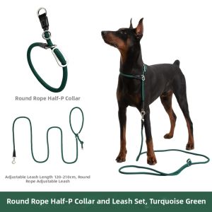 HiDREAM | Mid to Large Small Dog Training Anti-snap Pull Double Clip Adjustable Leash