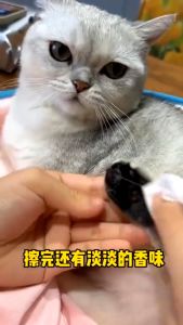 Tisu Basah Hewan / Pet wipes tissue basah hewan peliharaan anabul anjing kucing / Tisu Basah Pembersih Hewan Kesayangan SH AB02