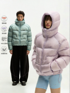JNXS | 800 Fill Power 95% White Duck Down Waterproof Feathers Leakage Lightweight Down Jacket
