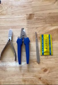 กรรไกรตัดเขี้ยวหมู 3 อย่าง ดังกล่าว มีดตอน แบบครบเซ็ต แถมใบ 10 ใบ