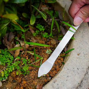 Naukaha【Ready in Stock】 Stainless Steel Gardening Rake Weeding Uprooting Tool Dual Purpose Shovel 1 Piece