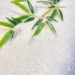 【Make you feel real Christmas】Artificial snow Decorations Snow Christmas Tree Decorations Holiday Decorations and Winter Displays DIY Christmas Decoration Snow Artificial Plastic Dry Snow for Powder Xmas Gift Home Party DIY Scene Props Supply